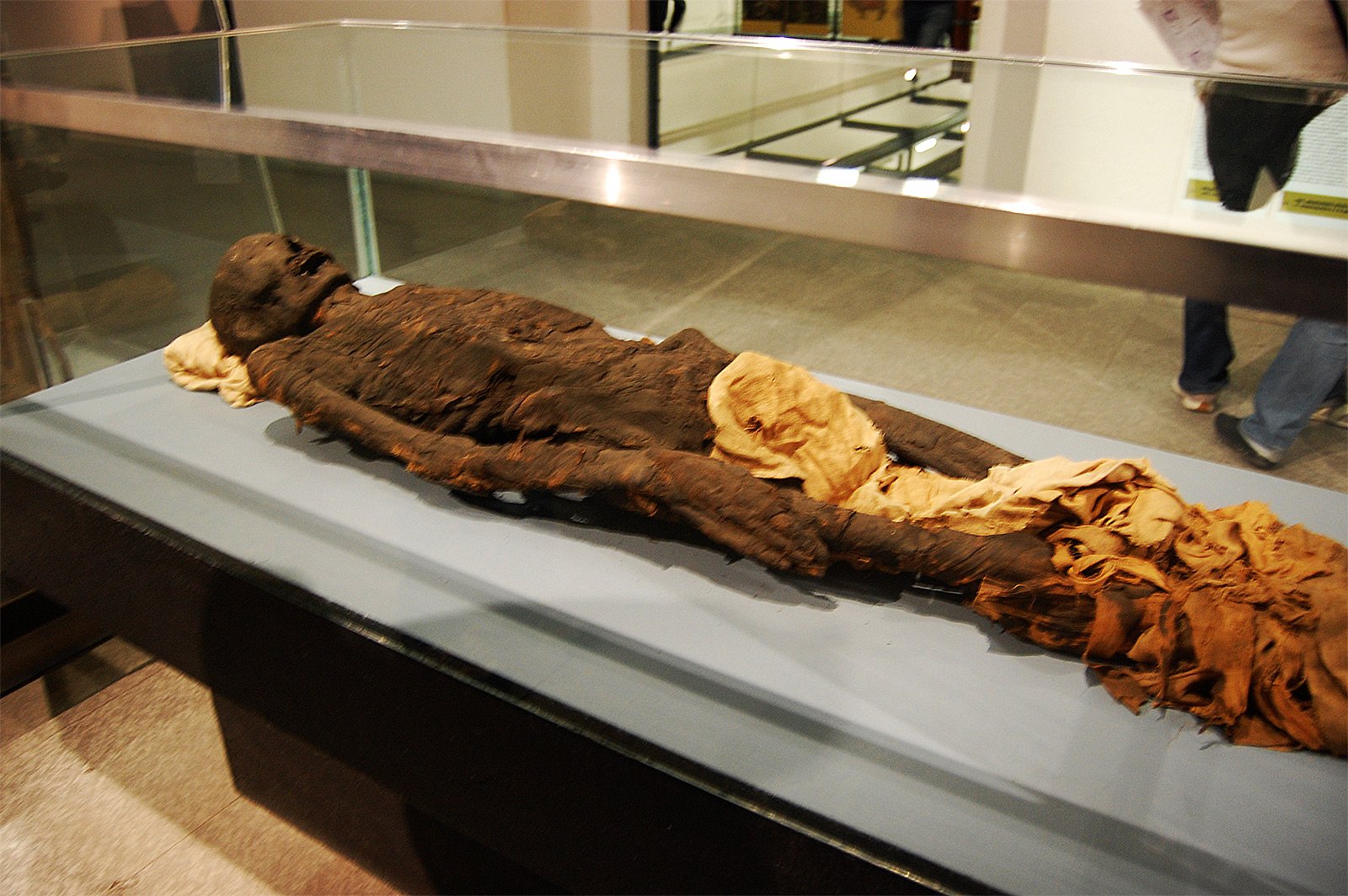 Как увидеть египетских мумий в Милане