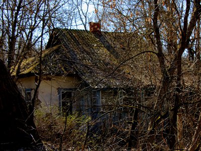 Увидеть дома-призраки в зоне отчуждения в Чернобыле