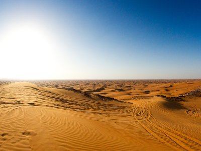 Побывать в пустынном заповеднике в Дубае