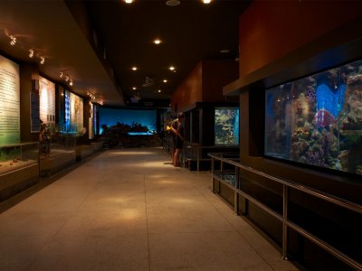 Океанариум «Phuket Aquarium» на Пхукете