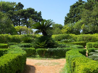 Ботанический сад в Дубровнике