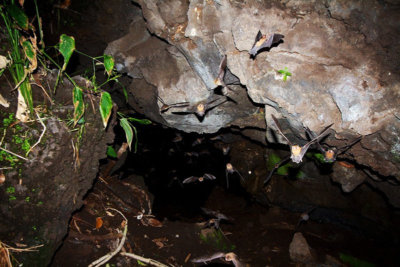 Пещера, Манагуа