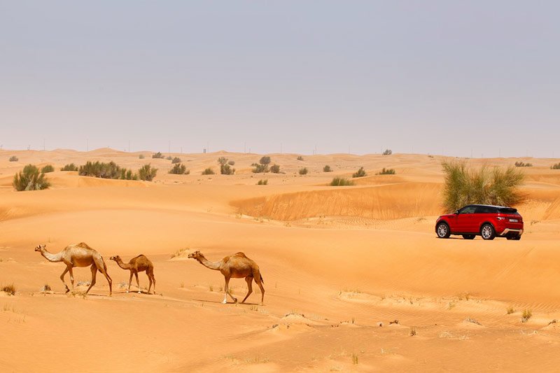 Сафари в пустыне на джипах, Дубай
