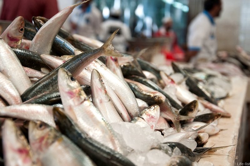 Рыбный рынок, Дубай