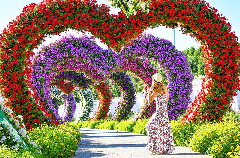 Парк цветов Миракл Гарден, Дубай
