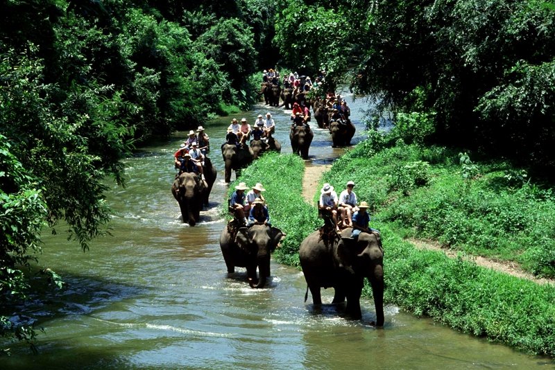 Деревня слонов, Чанг
