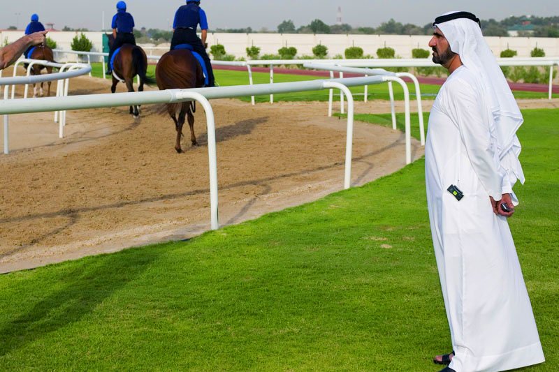 Лошадей готовят к Дубайскому кубку мира, Дубай