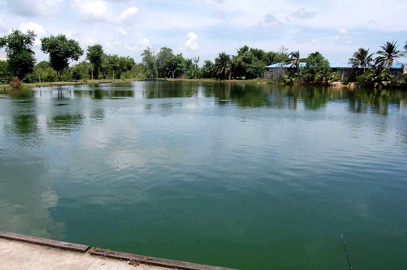 Паттайский рыболовный парк, Паттайя