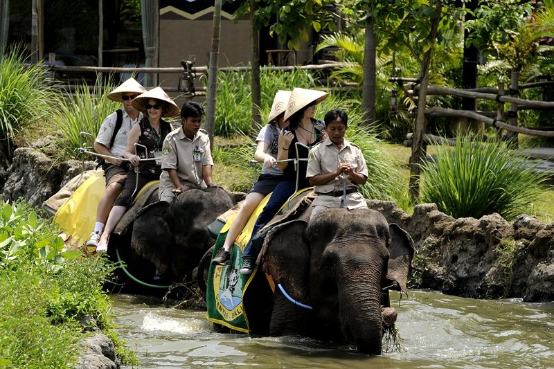Покататься на слоне, Бали