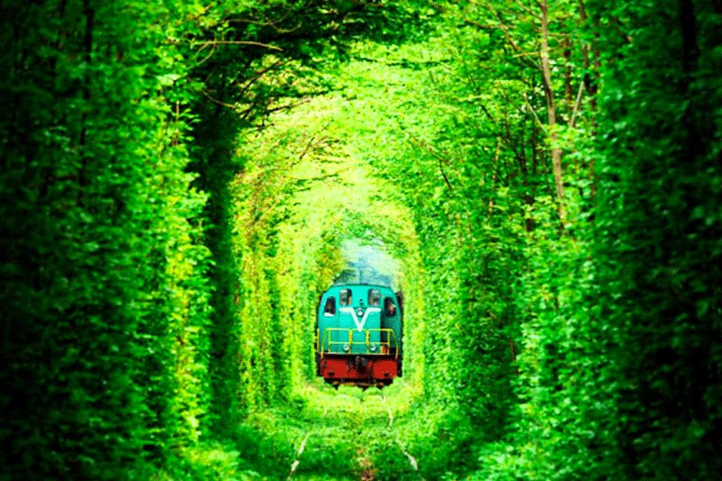 Через Тоннель любви раньше ходил поезд, Ровно