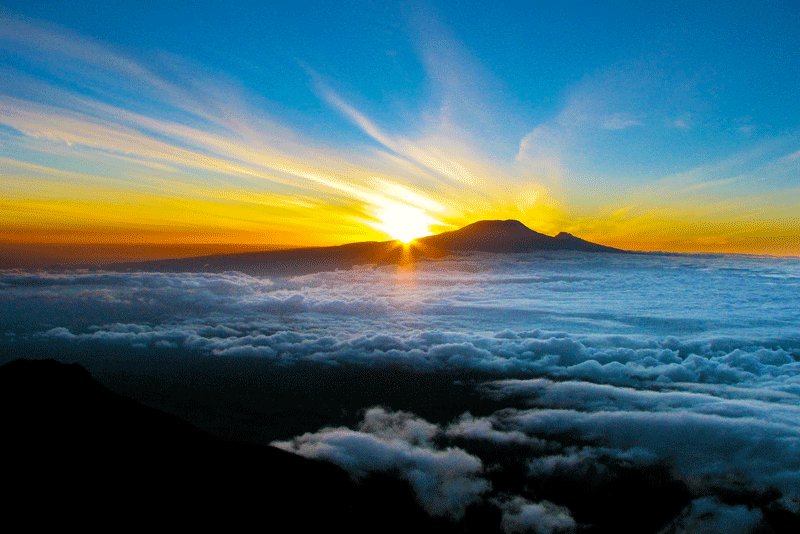 Рассвет над горой Килиманджаро, Аруша