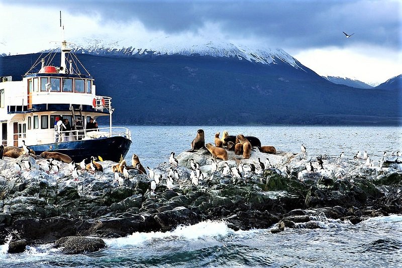 На берегах залива гостей приветствуют пингвины и морские котики, Ушуая