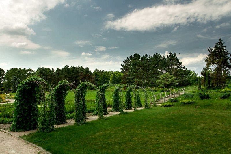 Ботанический сад, Киев