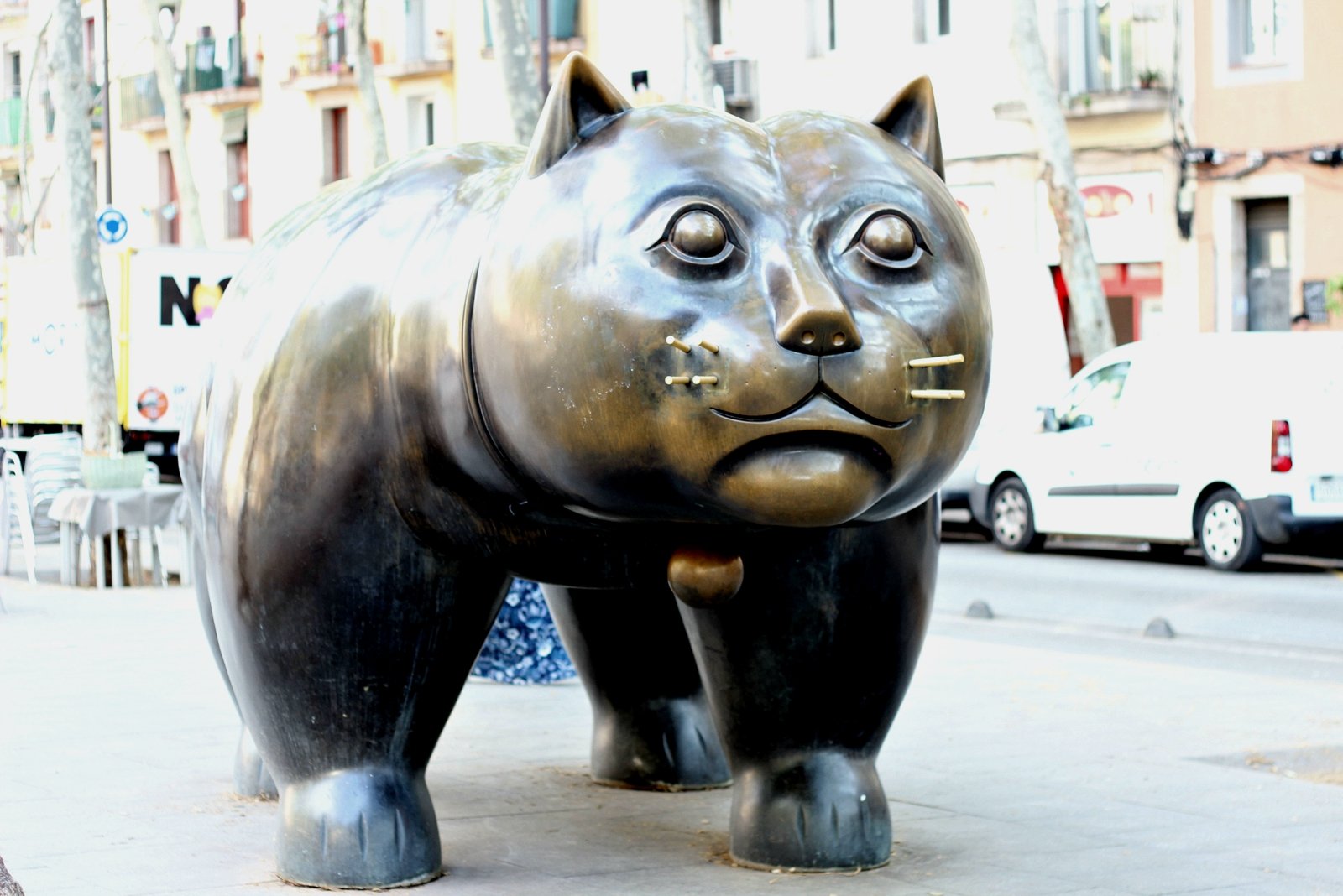 Как загадать желание у статуи кота в Барселоне