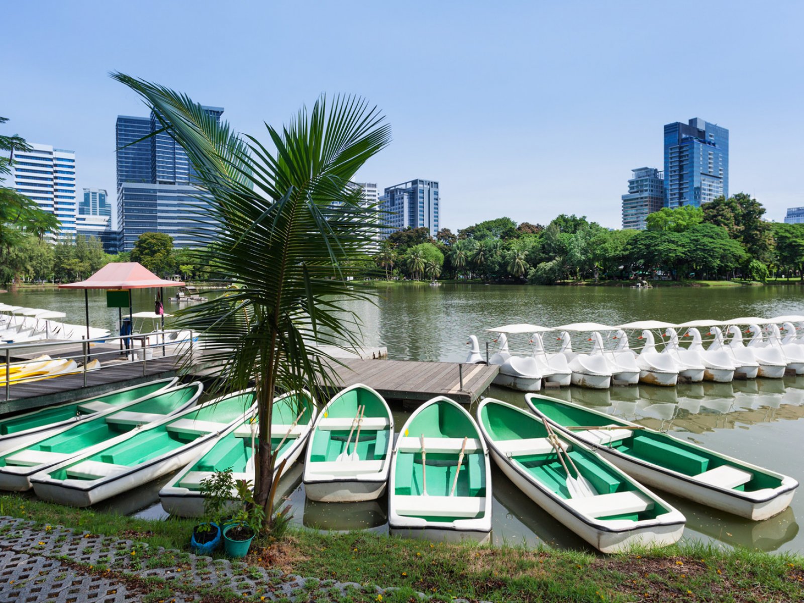 Как покататься на лодке в парке Люмпини в Бангкоке
