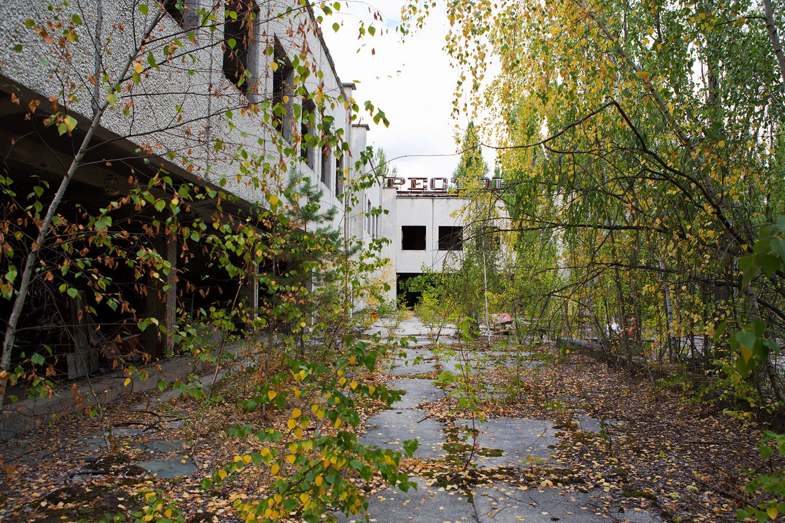 Как погулять по городу-призраку в Чернобыле