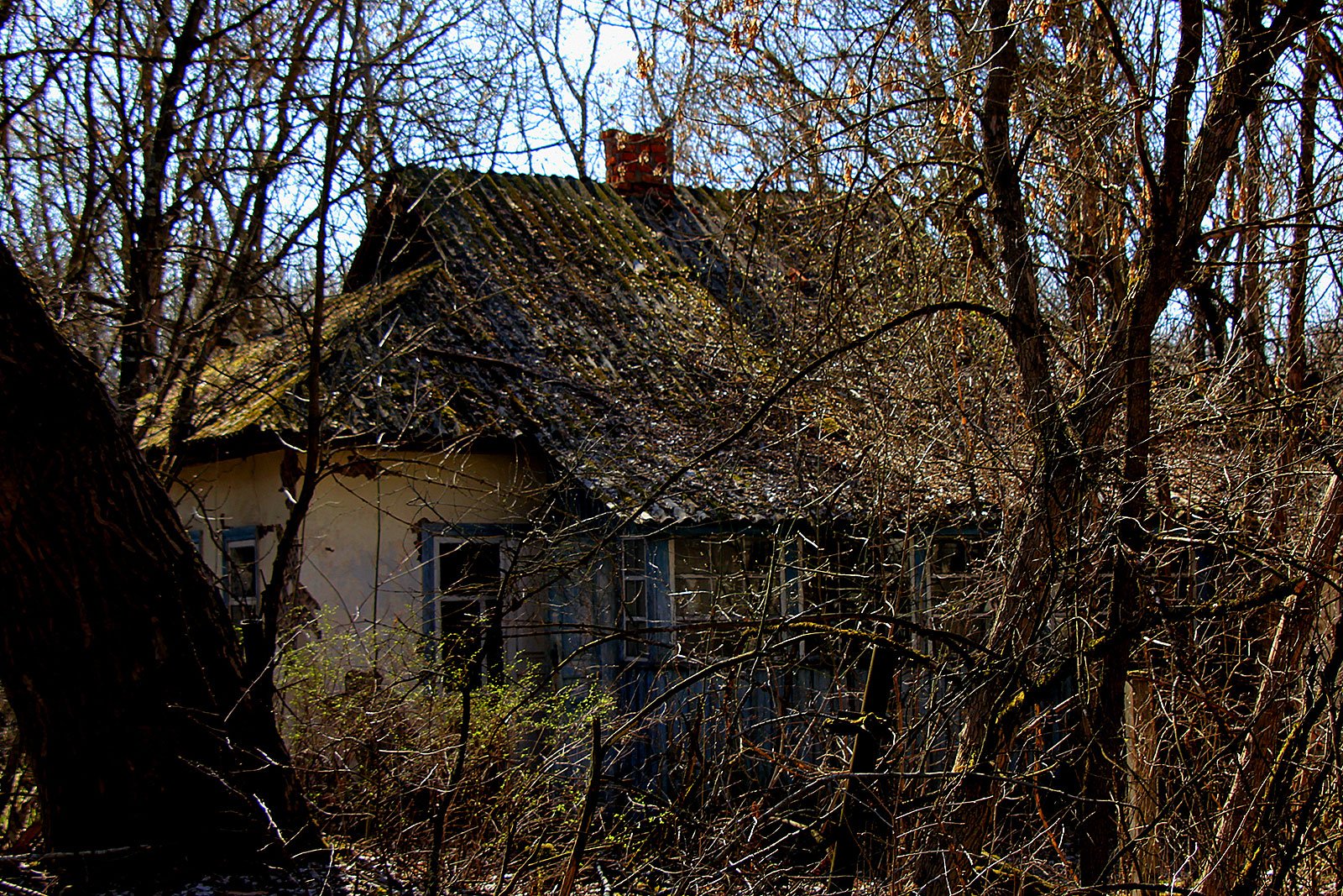 Как увидеть дома-призраки в зоне отчуждения в Чернобыле
