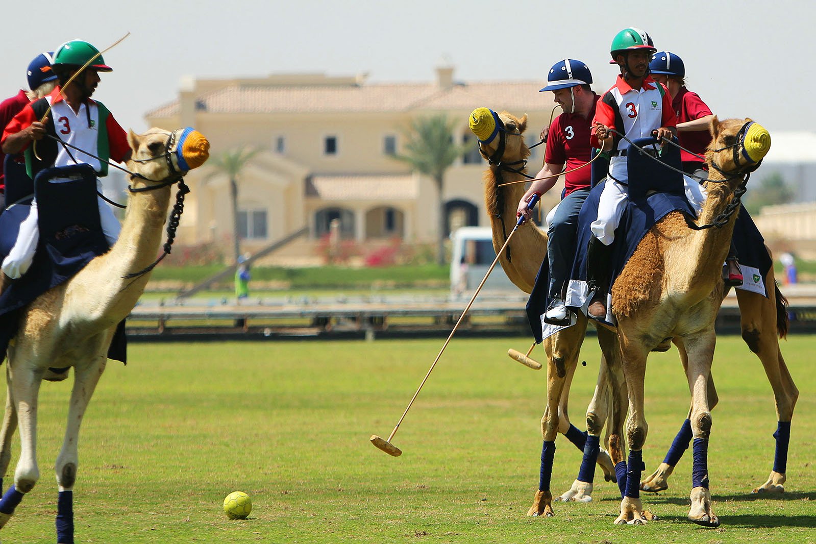 Как поиграть в поло на верблюде в Дубае