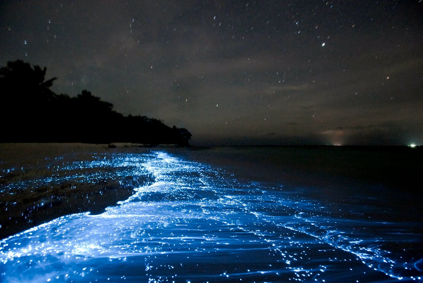 Как увидеть светящийся планктон на необитаемом пляже в Сиануквиле