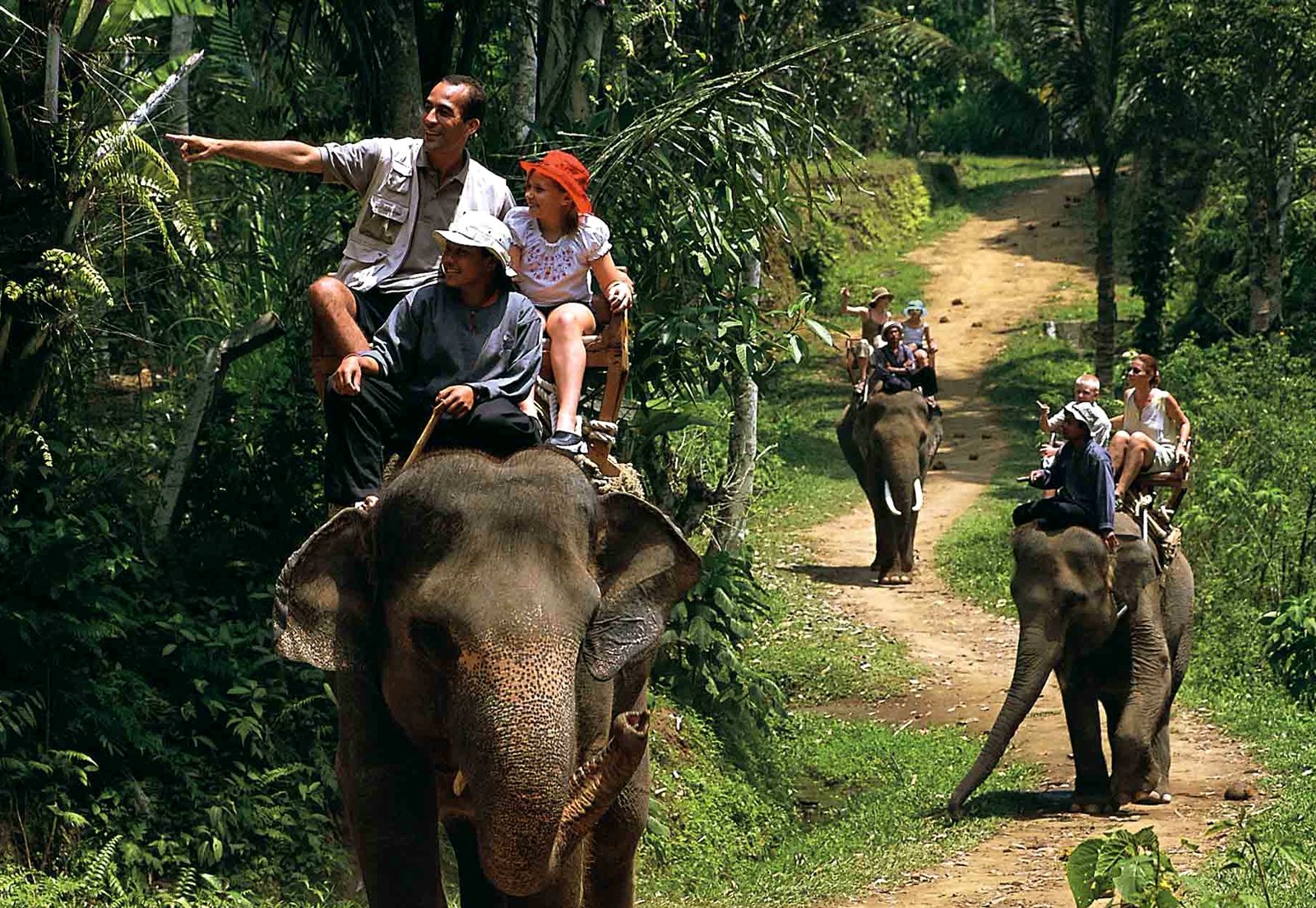 Как покататься на слоне на Бали