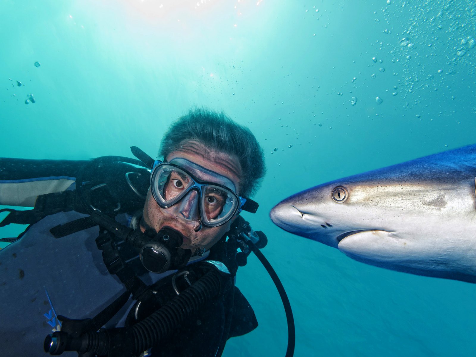 Как погрузиться в аквариум с акулами в Паттайе