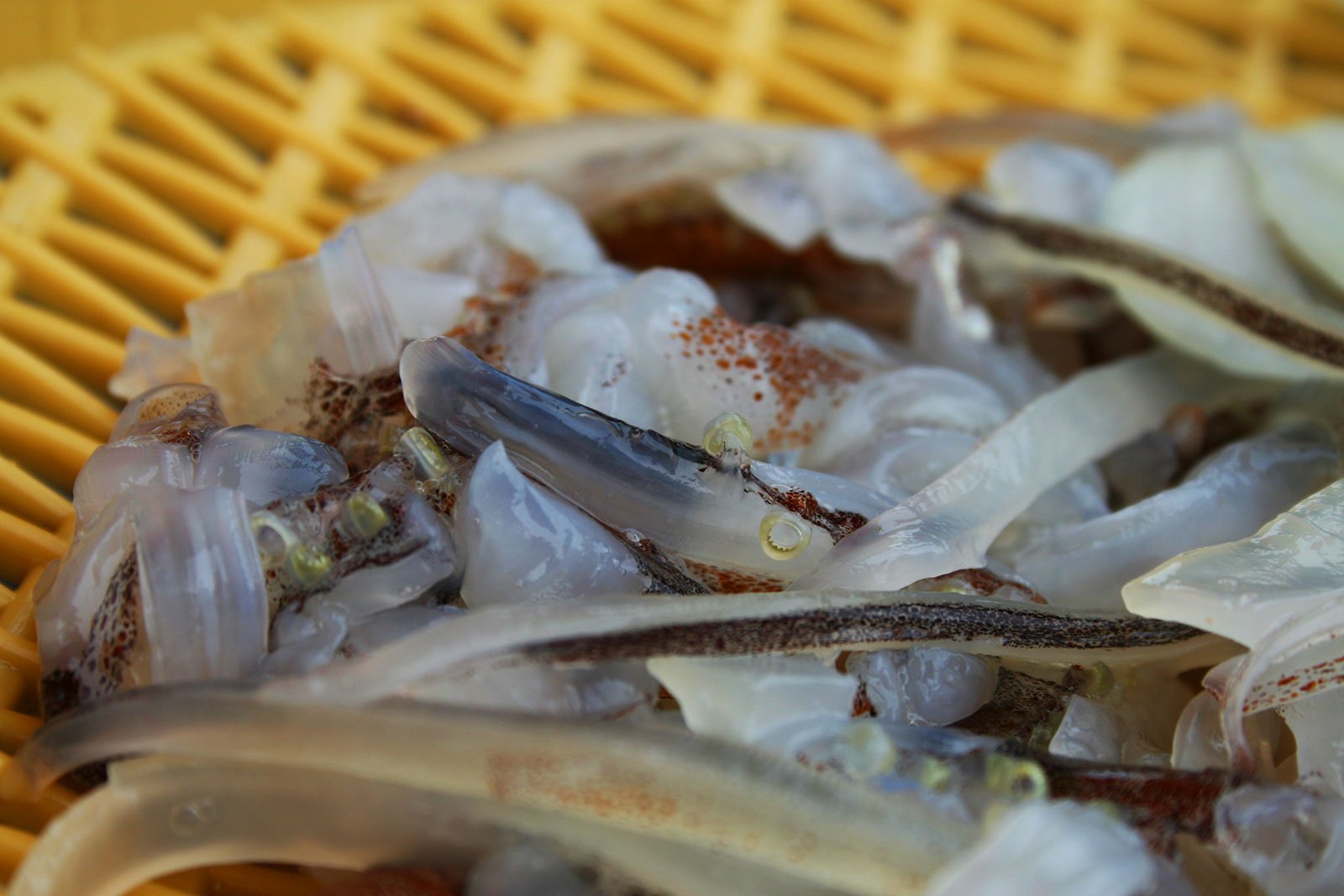 Как съесть живого осьминога в Вандо