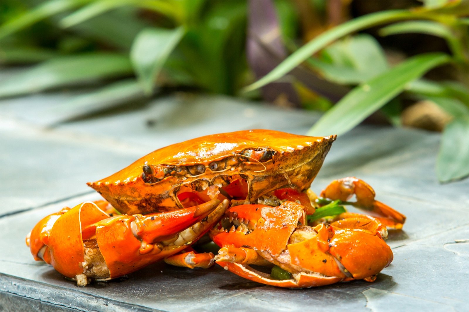 Как попробовать самые вкусные морепродукты в Паттайе