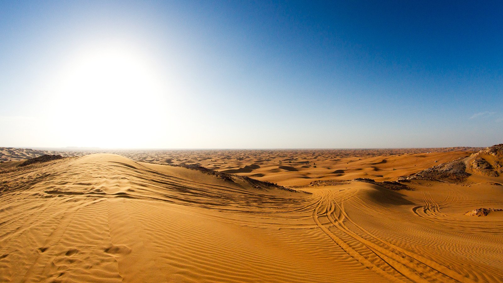 Как побывать в пустынном заповеднике в Дубае