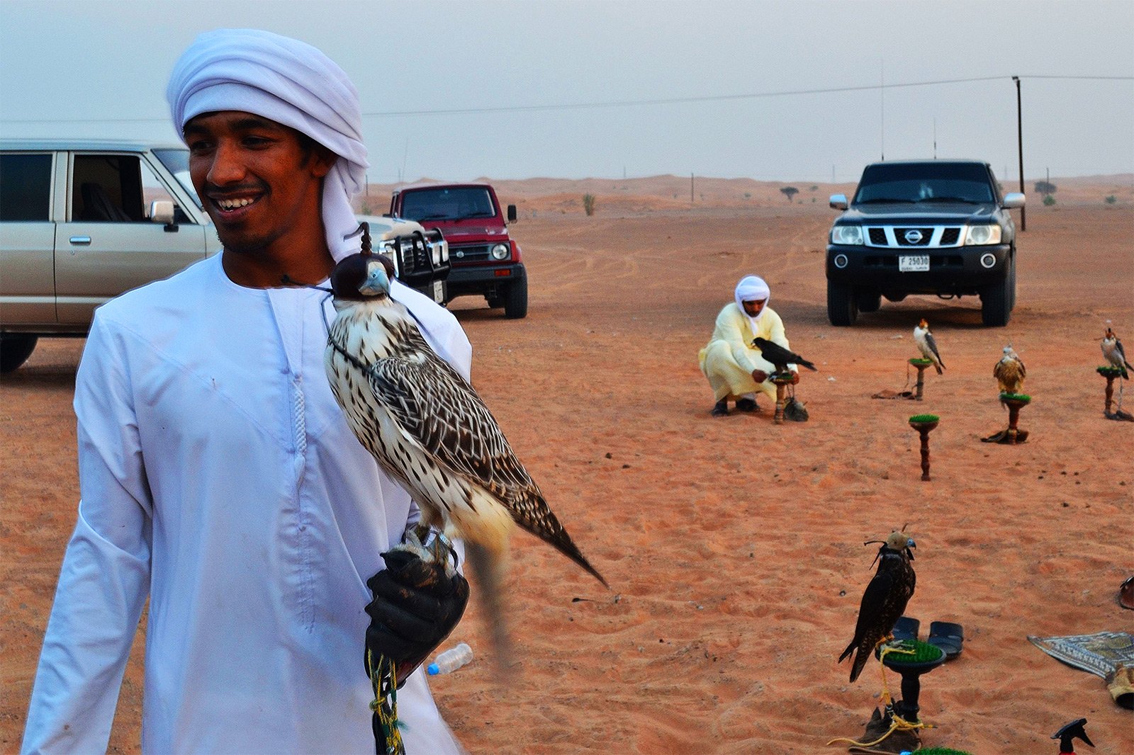 Как увидеть соколиную охоту в Дубае