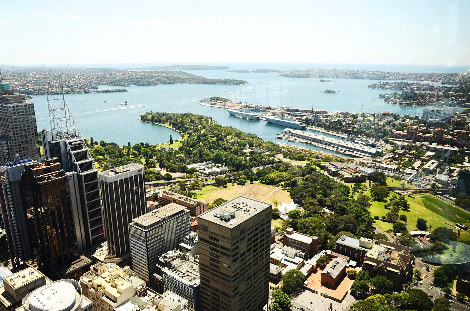 Как поняться на Сиднейскую башню в Сиднее