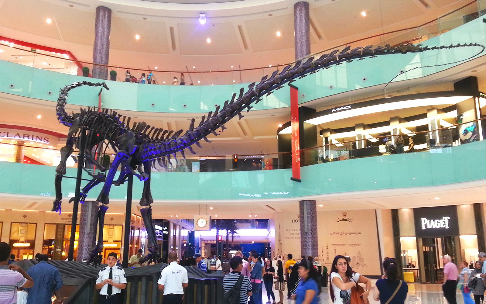 Как увидеть скелет гигантского 155.000.000-летнего динозавра в Дубае