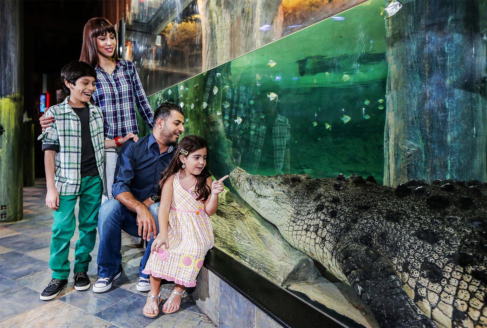 Как увидеть короля крокодилов в Дубае