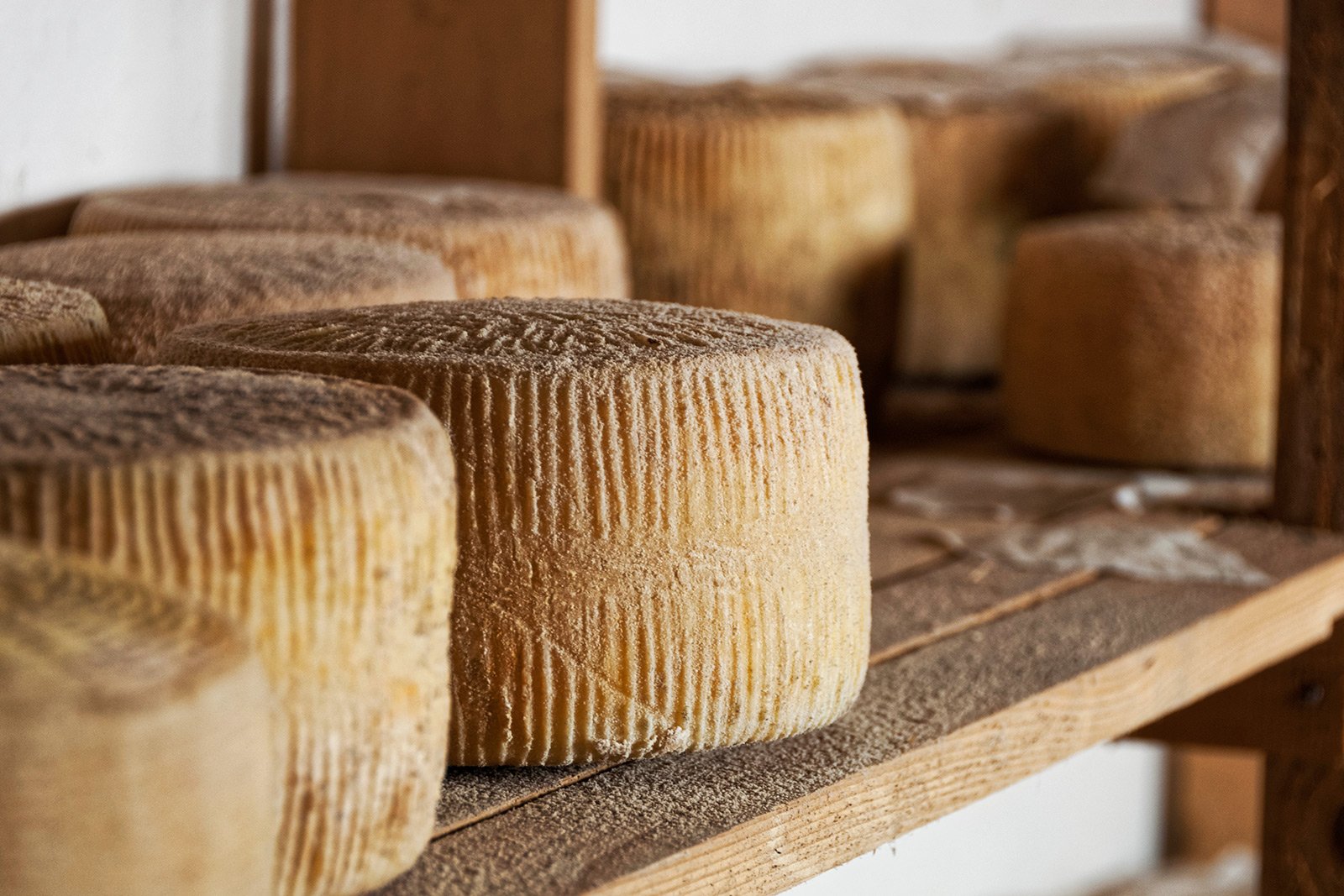 Как попробовать сыр пекорино на Сардинии