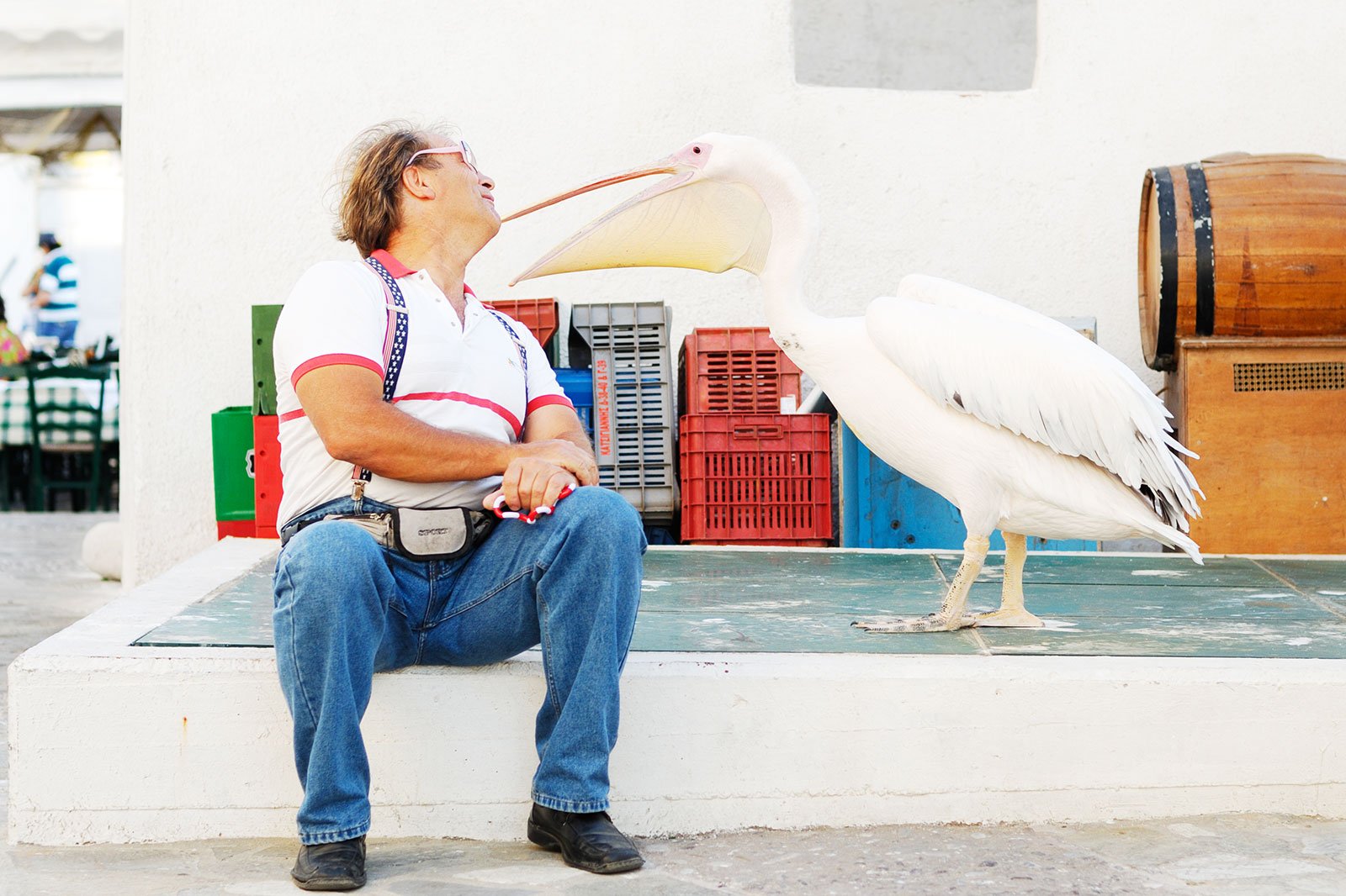 Как покормить розовых пеликанов на Миконосе