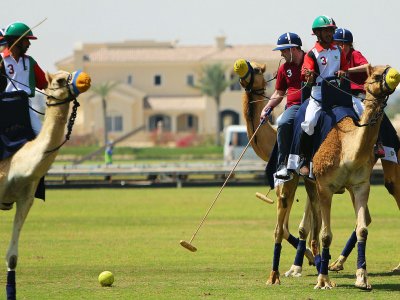 Поиграть в поло на верблюде в Дубае