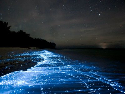 Увидеть светящийся планктон на необитаемом пляже в Сиануквиле