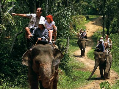 Покататься на слоне на Бали