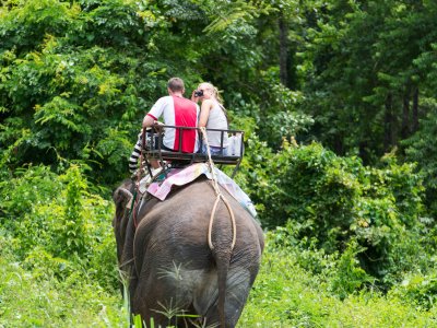 Покататься на слоне по джунглям в Паттайе