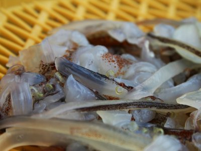Съесть живого осьминога в Вандо