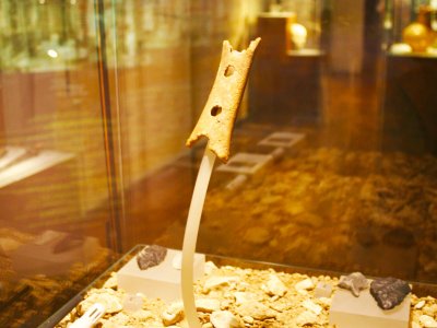 Увидеть 45,000,000-летнюю флейту в Любляне