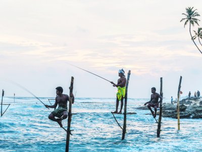 Увидеть ланкийских рыбаков в Галле