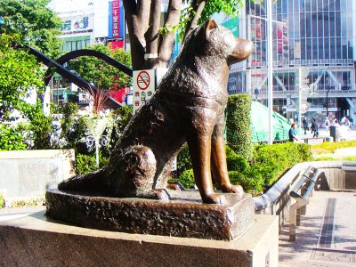 Увидеть памятник самому верному псу Хатико в Токио