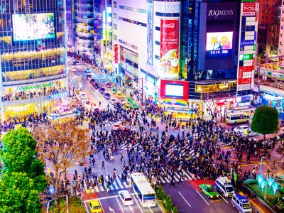 Увидеть самый многолюдный перекресток в мире в Токио