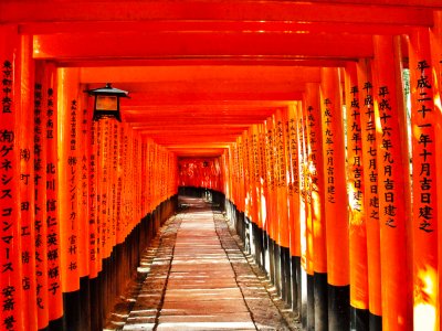 Пройти 4000-метровый тоннель из ворот Тории в Киото