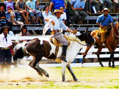 Увидеть соревнования гаучо в Такуарембо