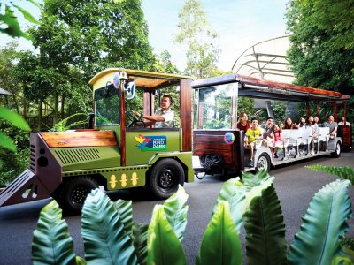 Прокатиться по парку на трамвайчике в Сингапуре