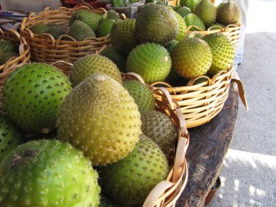 Попробовать кактусовый фрукт копао в Викунье