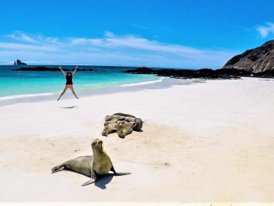 Позагорать на пляже вместе с морскими котиками на Галапагосских островах