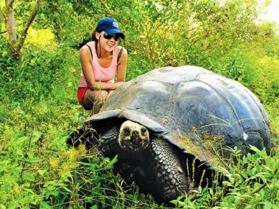 Увидеть самых больших черепах в мире на Галапагосских островах