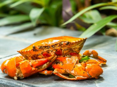 Попробовать самые вкусные морепродукты в Паттайе